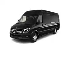 Erinmills LImo Van